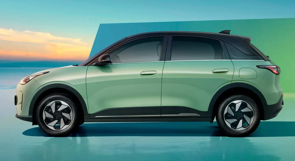 Vista lateral del Geely E2