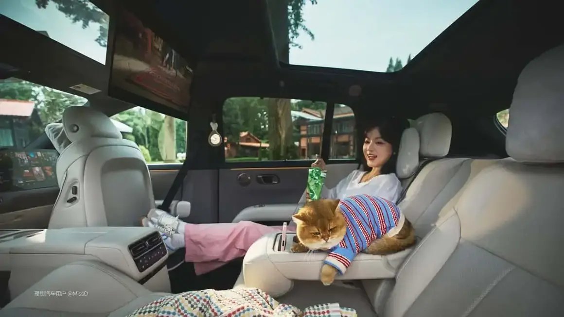 Li Auto i6 - interior (detalles) 