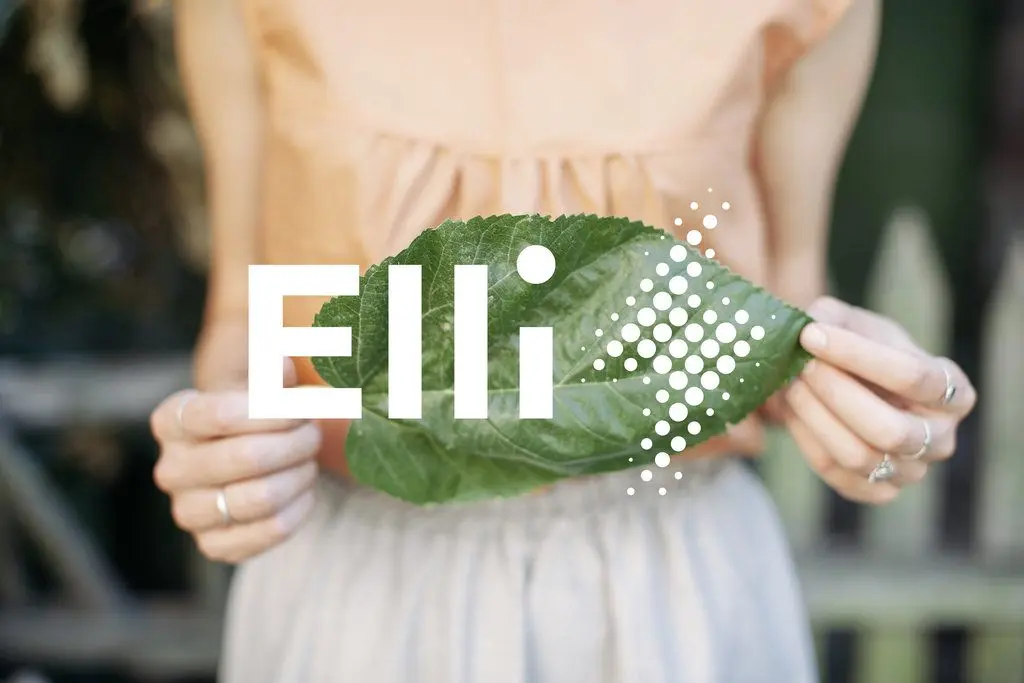 Volkswagen-nueva-empresa-del-grupo_Elli