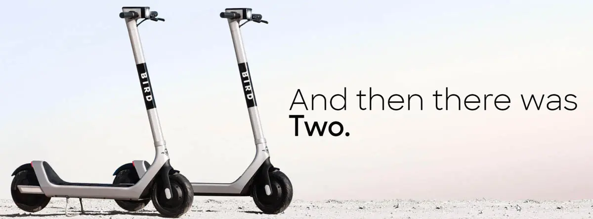 bird-two