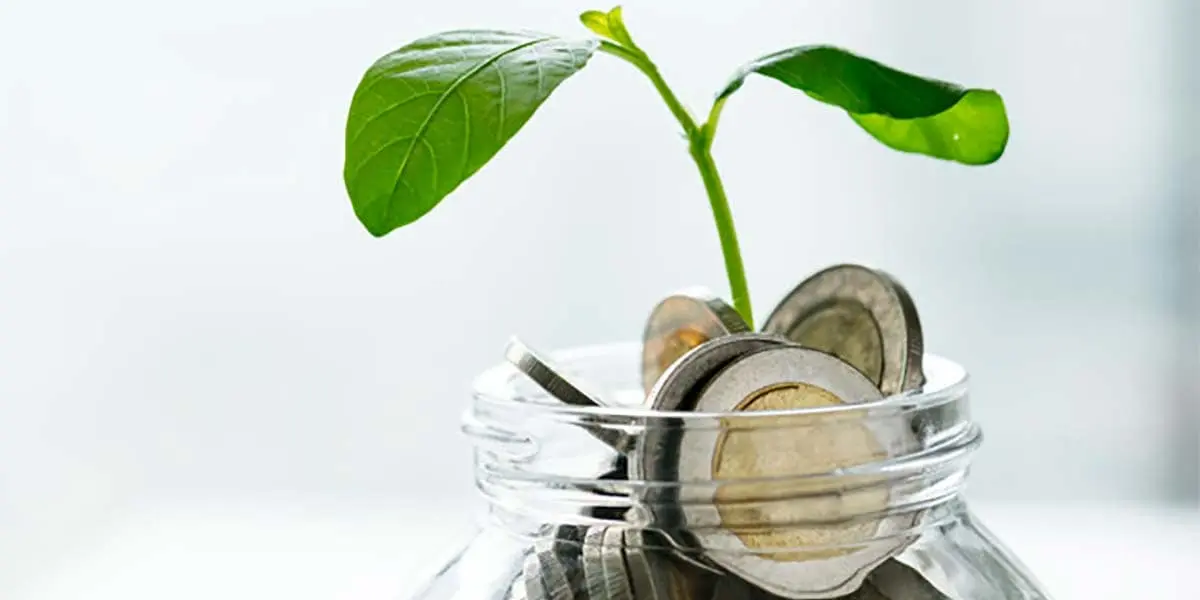 Foto de dinero donde sale un brote verde