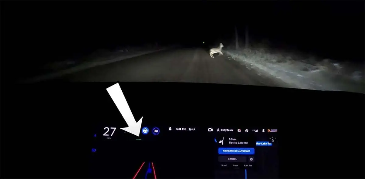 Foto de un ciervo cruzando por la carretera delante de un Tesla
