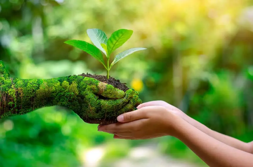 manos-planta-naturaleza-sostenibilidad