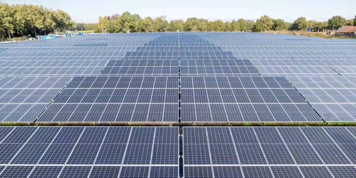 Vattenfall-Symbizon-parque-solar-combinacion-cultivos