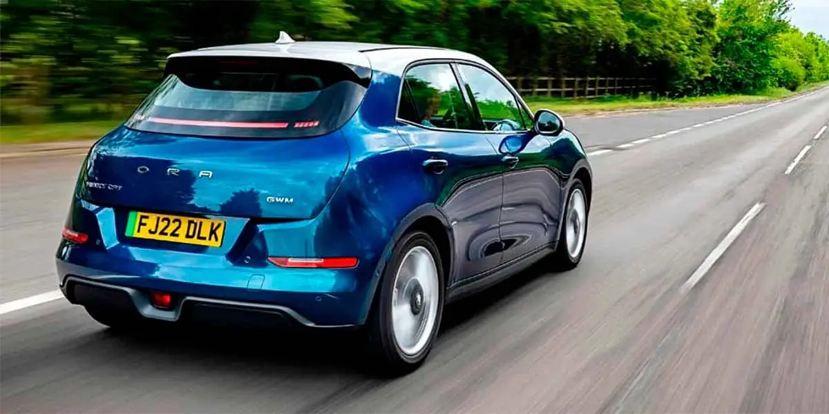 Foto del Ora Funky Cat