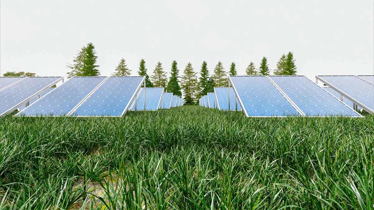 Parque solar