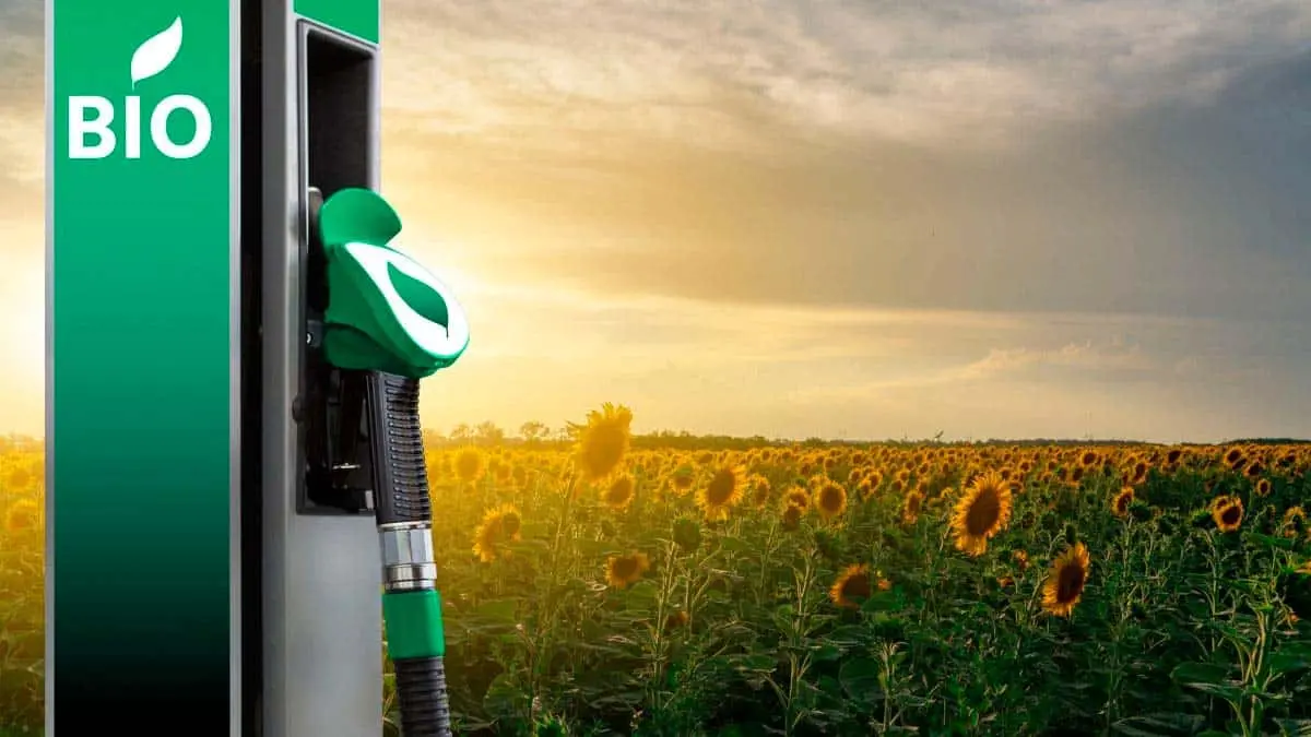 gasolinera con e-fuel (combustible sint&eacute;tico)