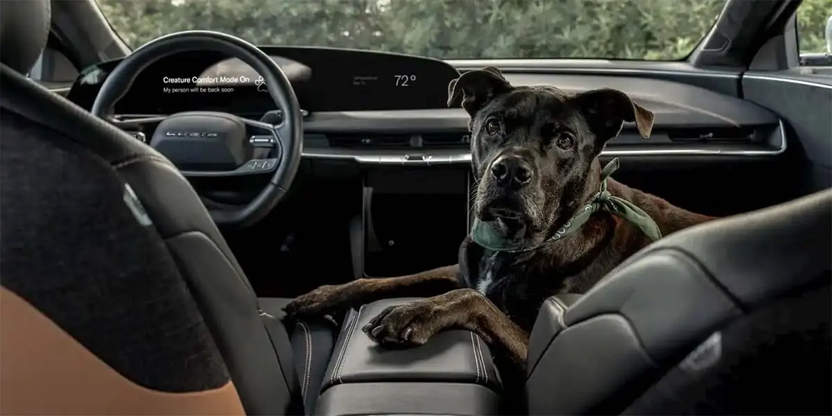 Lucid - Dog Mode activo