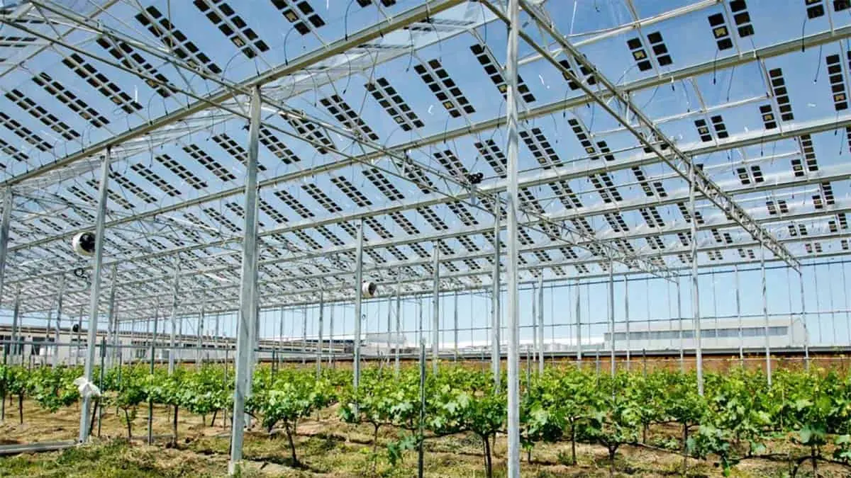 Solar Glass de Brite Solar