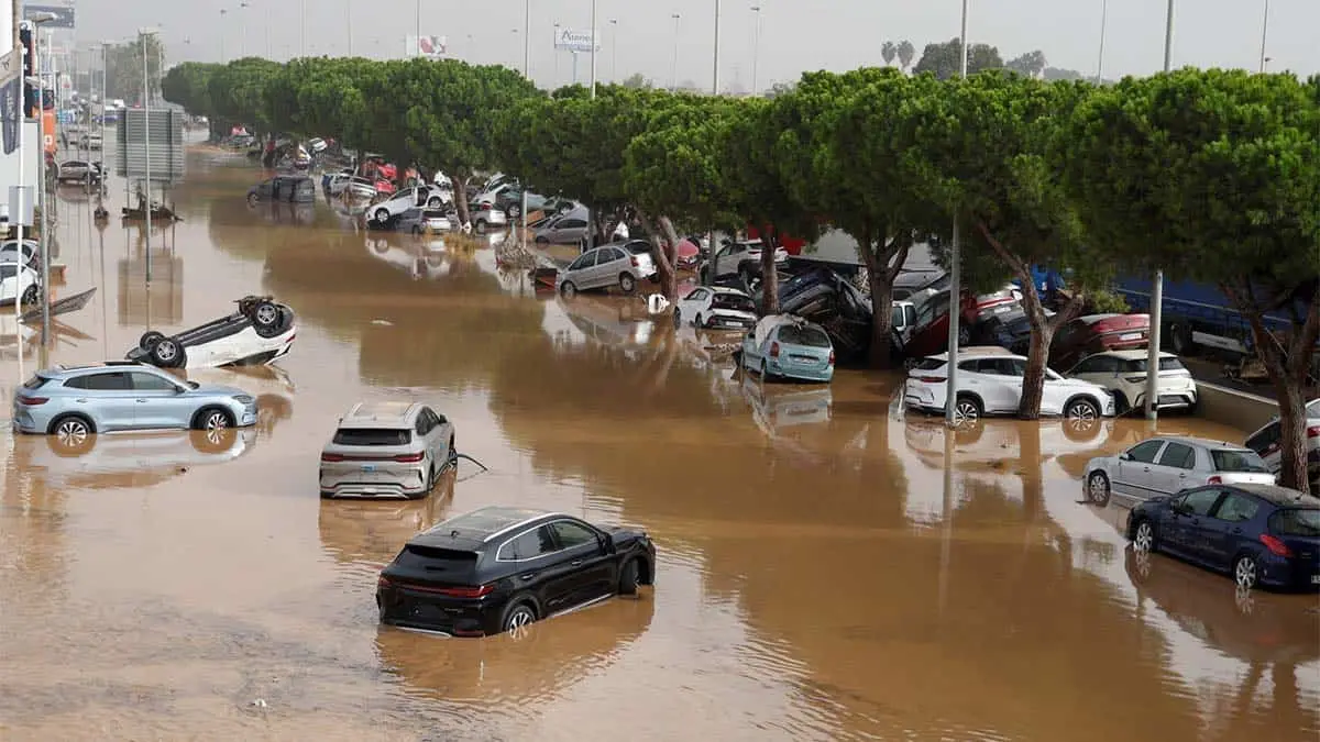 Ayudas compra coche DANA