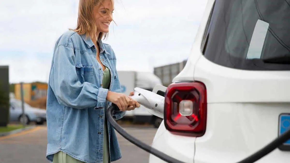 Satisfacci&oacute;n del coche el&eacute;ctrico