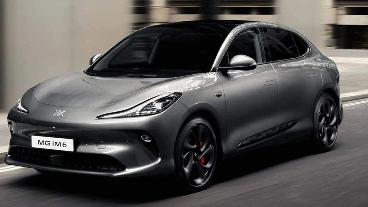 mg-im6-gris