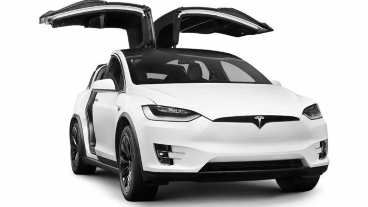 Model X - Alas gaviota