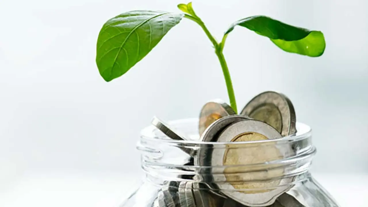 Foto de dinero donde sale un brote verde