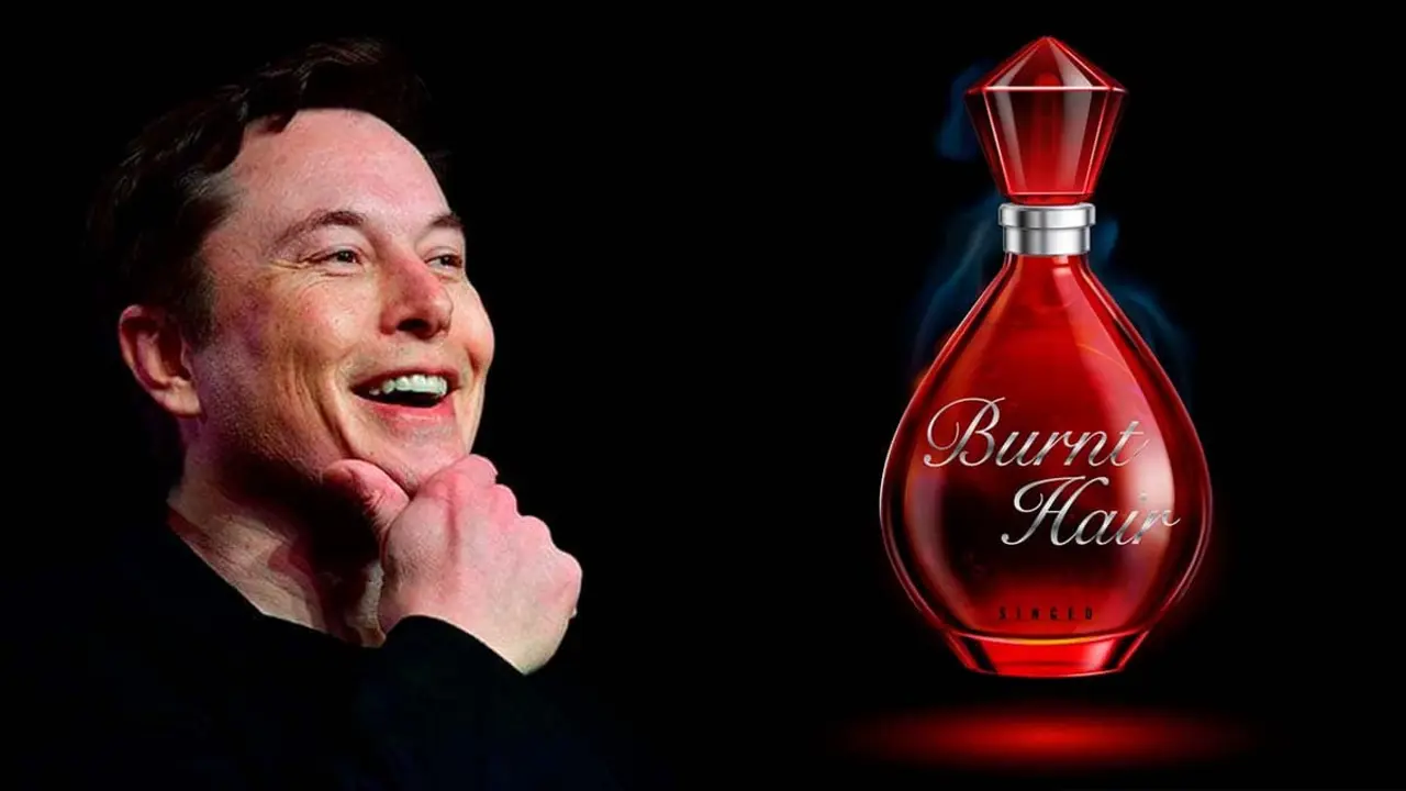 Colonia de Elon Musk - Burnt Hair