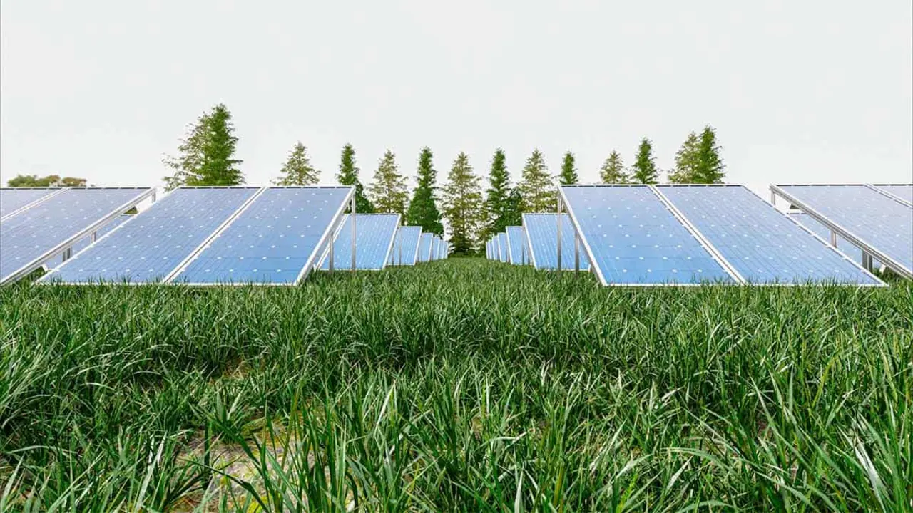 Parque solar