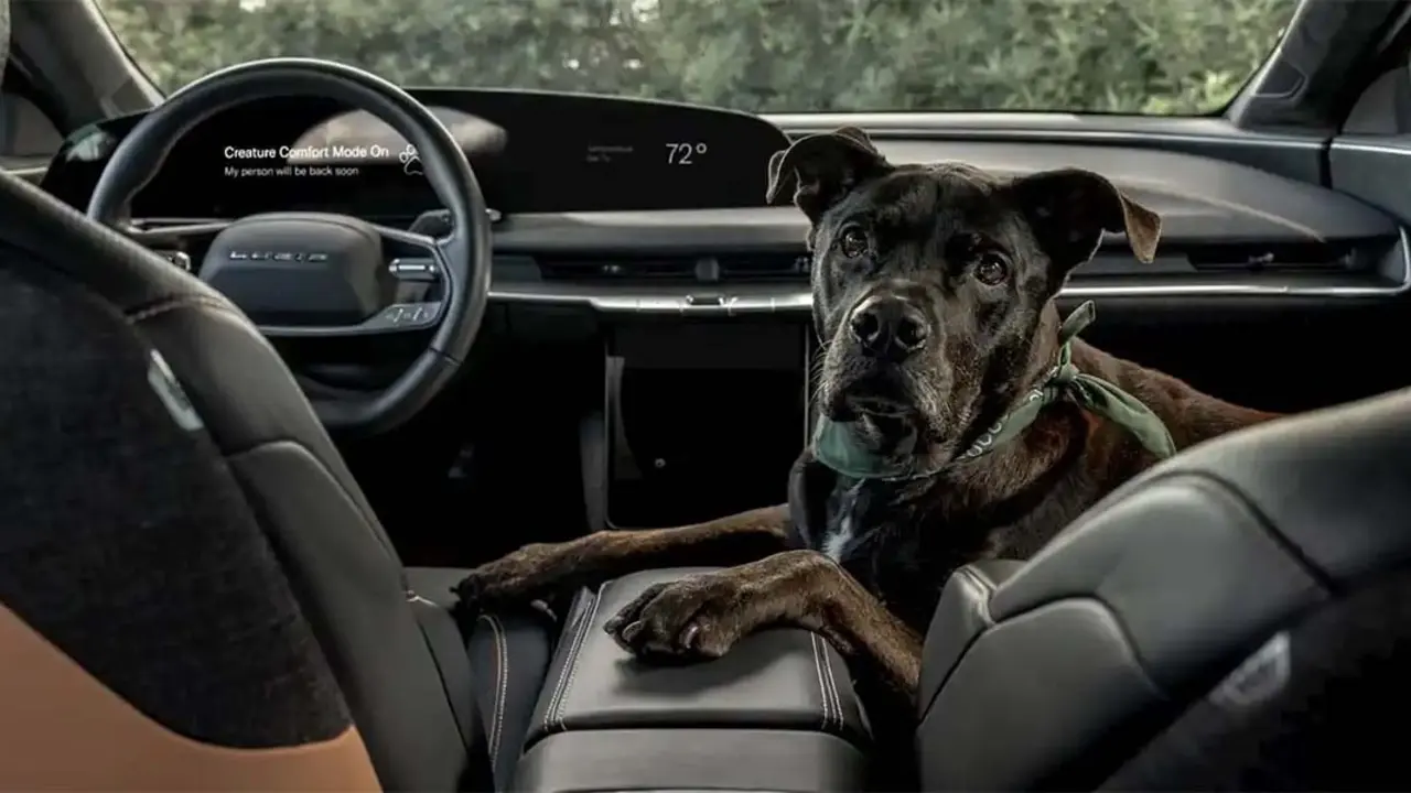 Lucid - Dog Mode activo