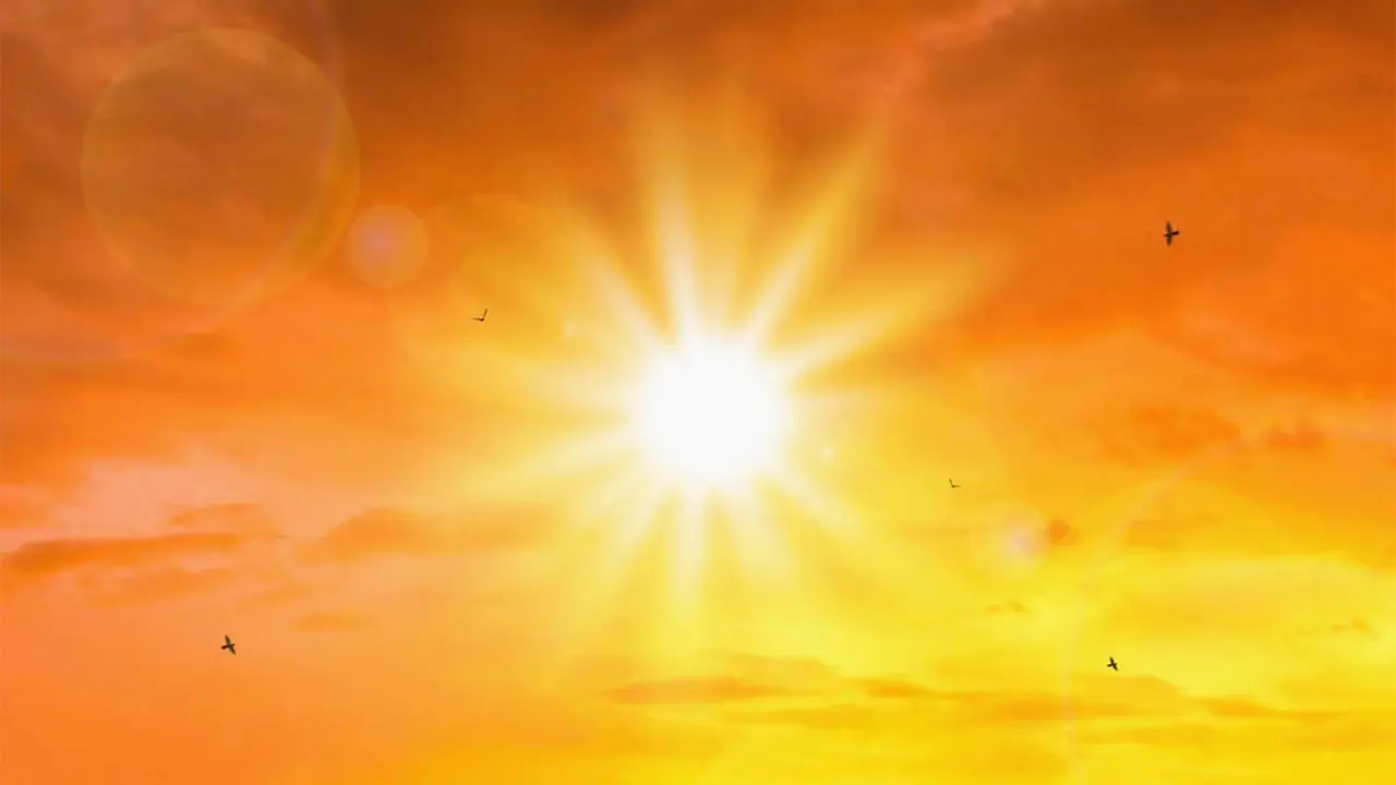Sol Artificial