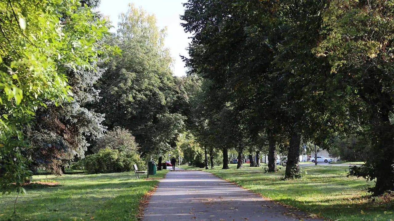 Parque en una ciudad
