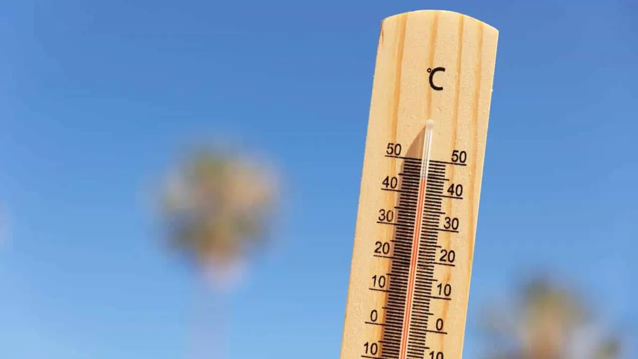 Term&oacute;metro con alta temperatura