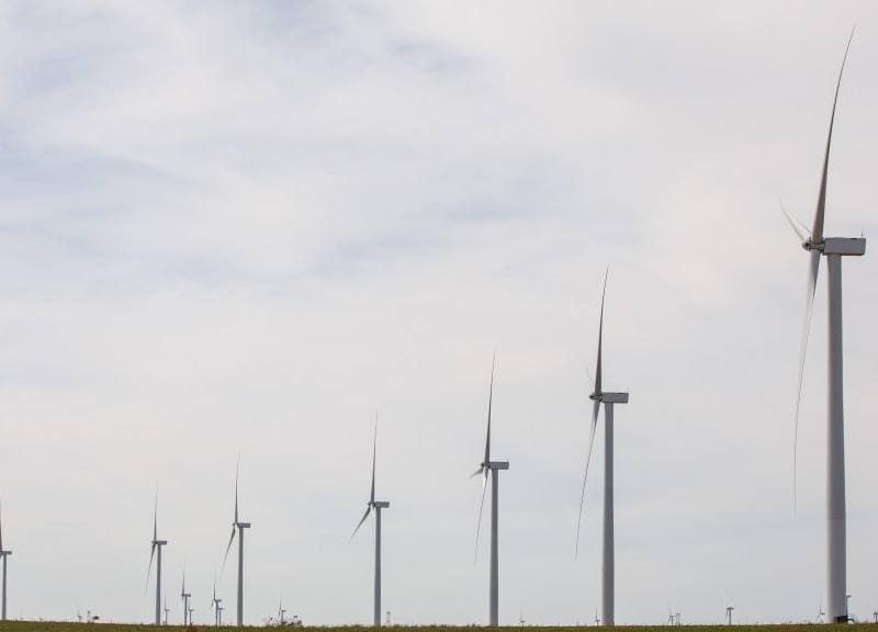 amazon-molinos-viento-parque-eolico