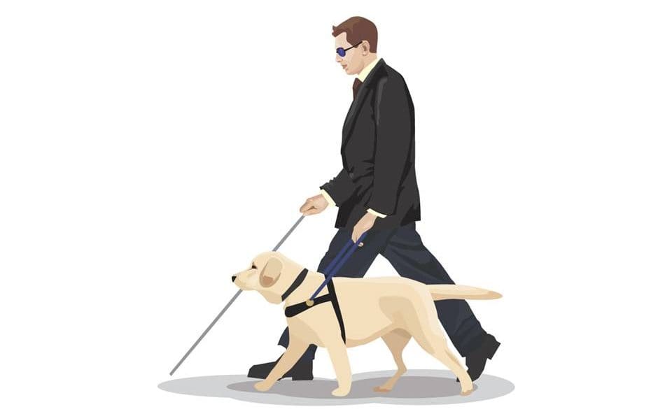 persona-ciega-perro