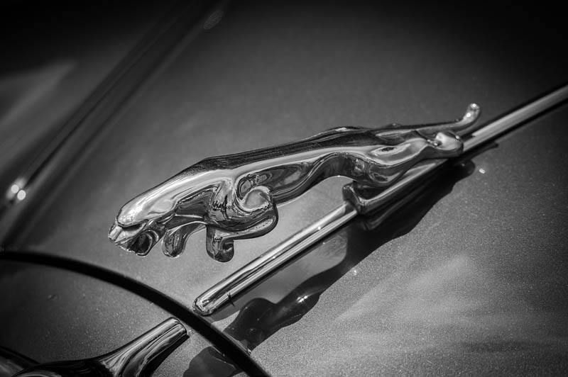 jaguar-insignia-coches