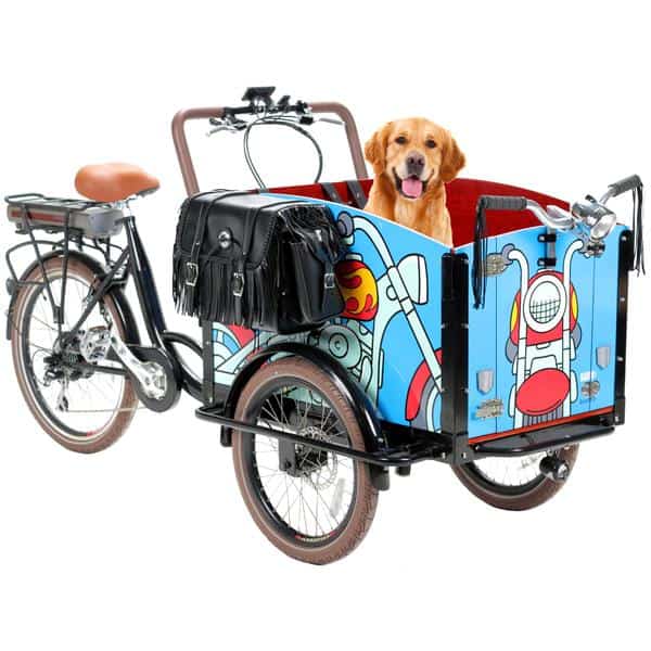 bunch-ebike-modelo-Bark