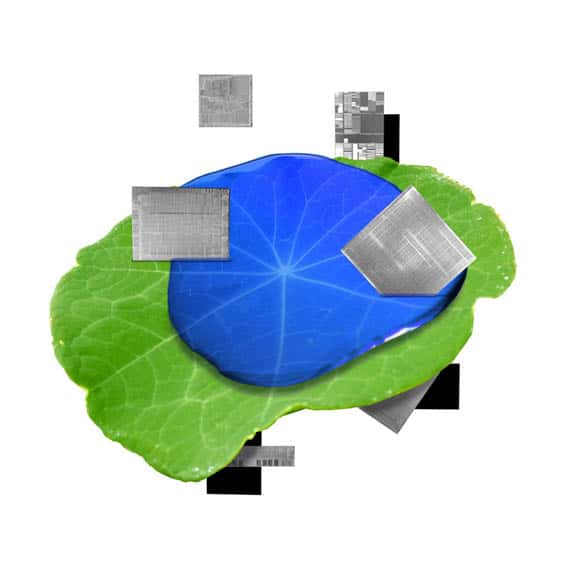 Materiales-productos-planeta-sostenible_IBM-5-in-5