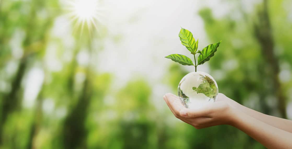 mano-sosteniendo-bola-mundo-planta-sostenibilidad