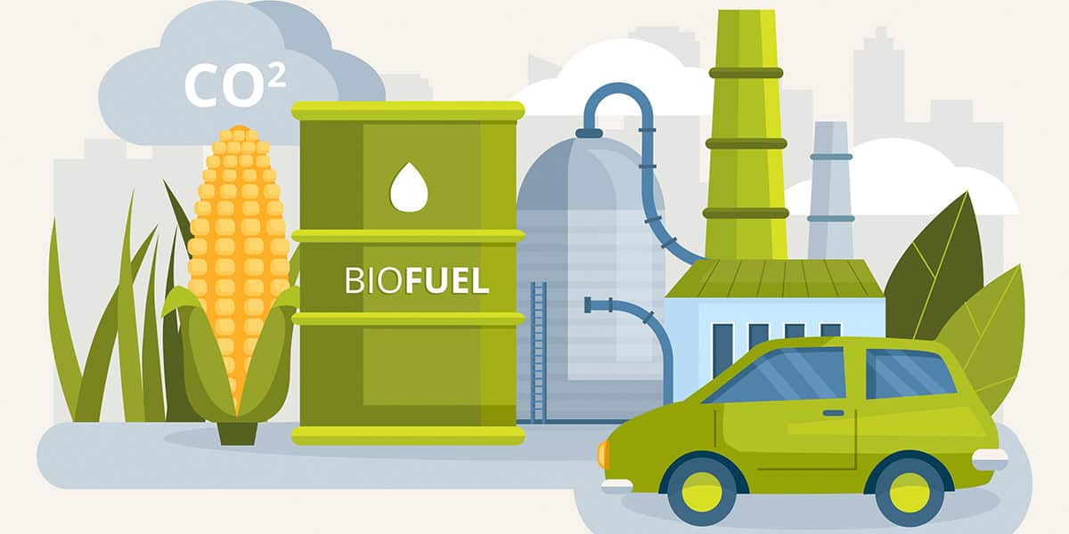 Combustibles-sinteticos_biofuel