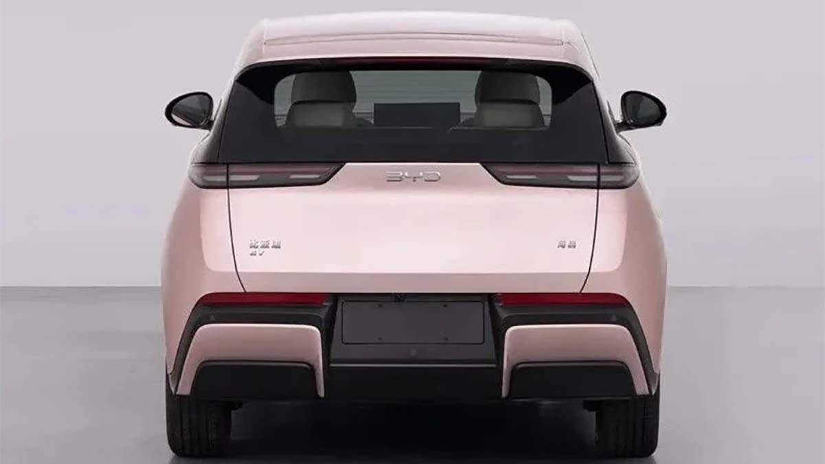 Nuevo BYD Dolphin Surf 2026 - vista trasera